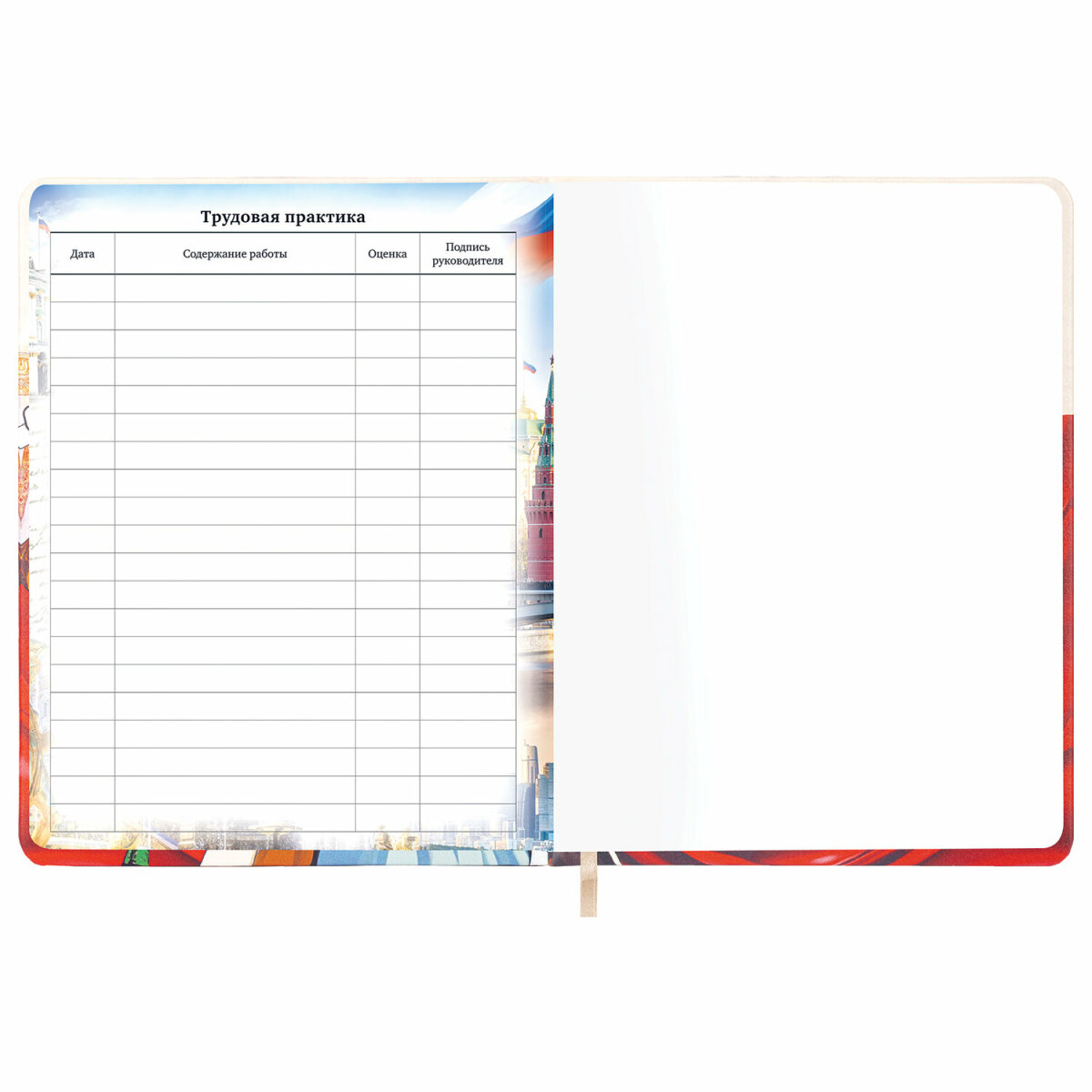 Дневник школьный Brauberg для девочек мальчика 1-11 класс - фото 17