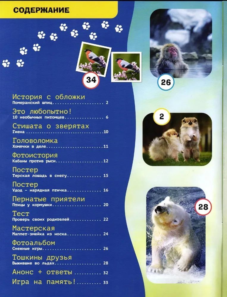 Набор журналов ИД Лев Детские журналы - фото 3