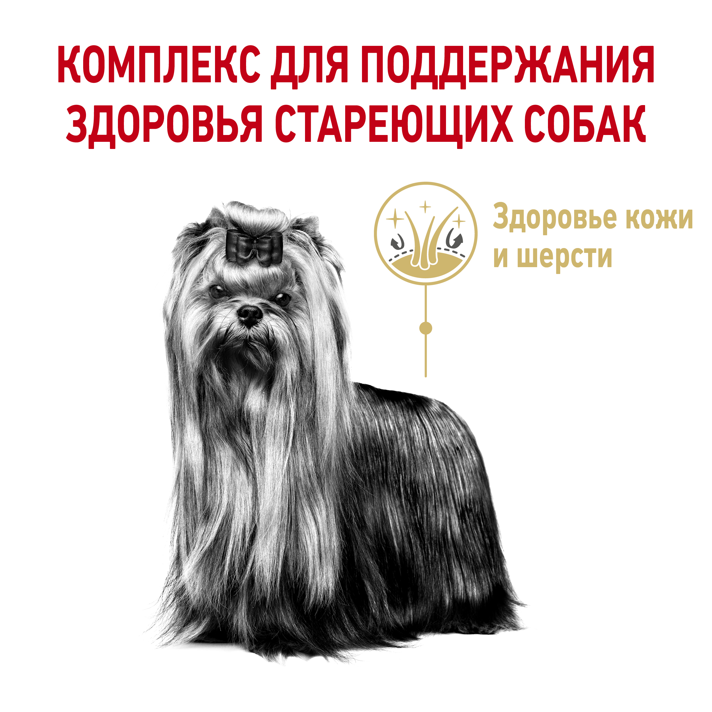Корм для собак ROYAL CANIN породы йоркширский терьер 8+ пожилые 1.5кг - фото 7
