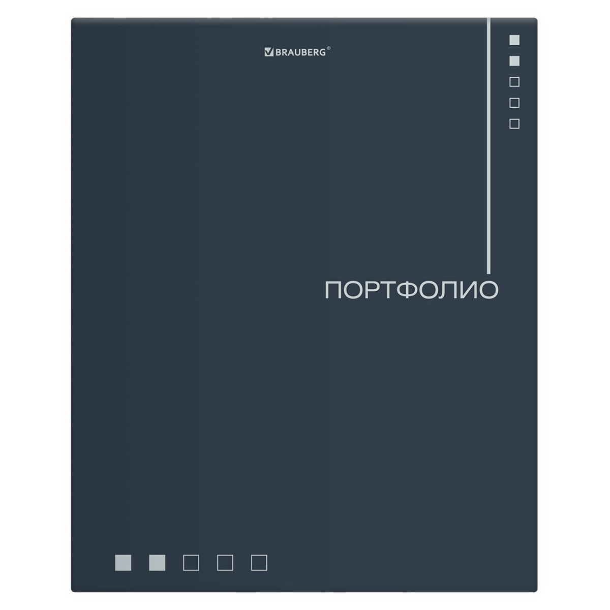 Портфолио школьника Brauberg папка А4 на кольцах 20 файлов для девочки и мальчика - фото 2