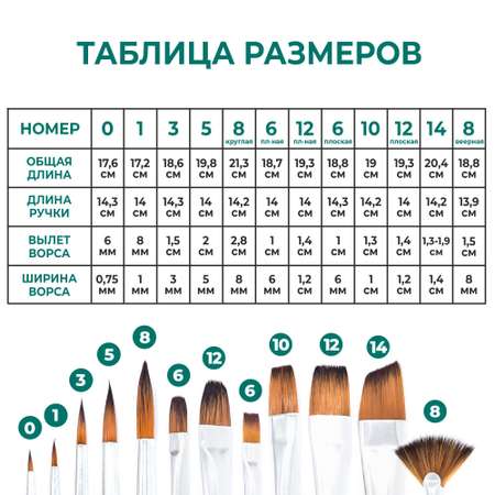 Кисть Малевичъ 12 шт.