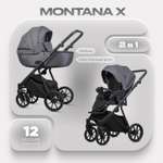 Коляска 2в1 Riko Basic Montana X серый
