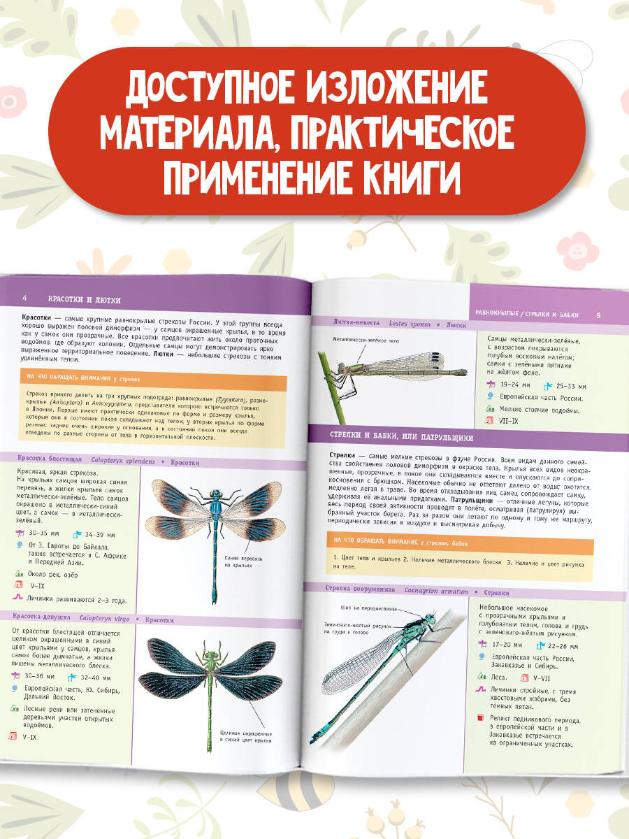 Книга АСТ насекомые России - фото 4