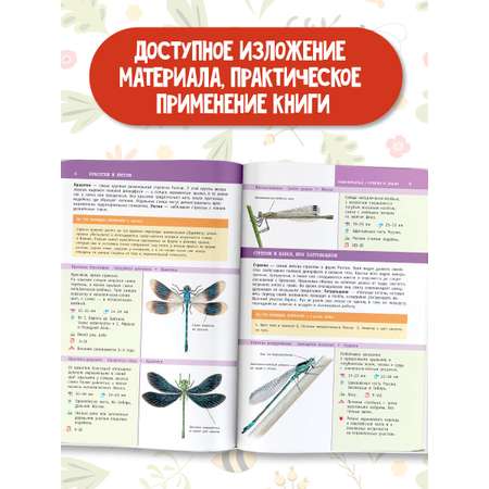 Книга АСТ насекомые России
