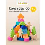 Конструктор Томик для малыша Цветной деревянный 45 дет.