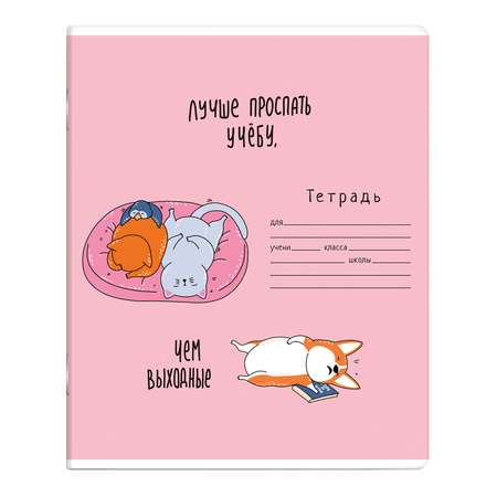 Тетрадь Феникс + клетка 24 лист. в ассортименте