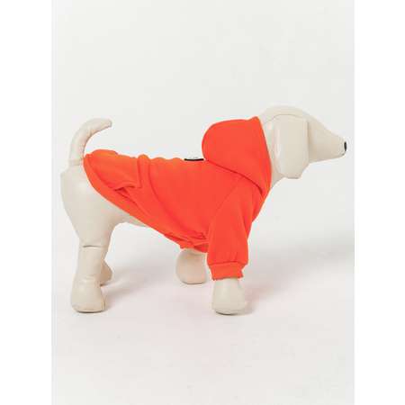 Толстовка для собак PIFPAF DOG