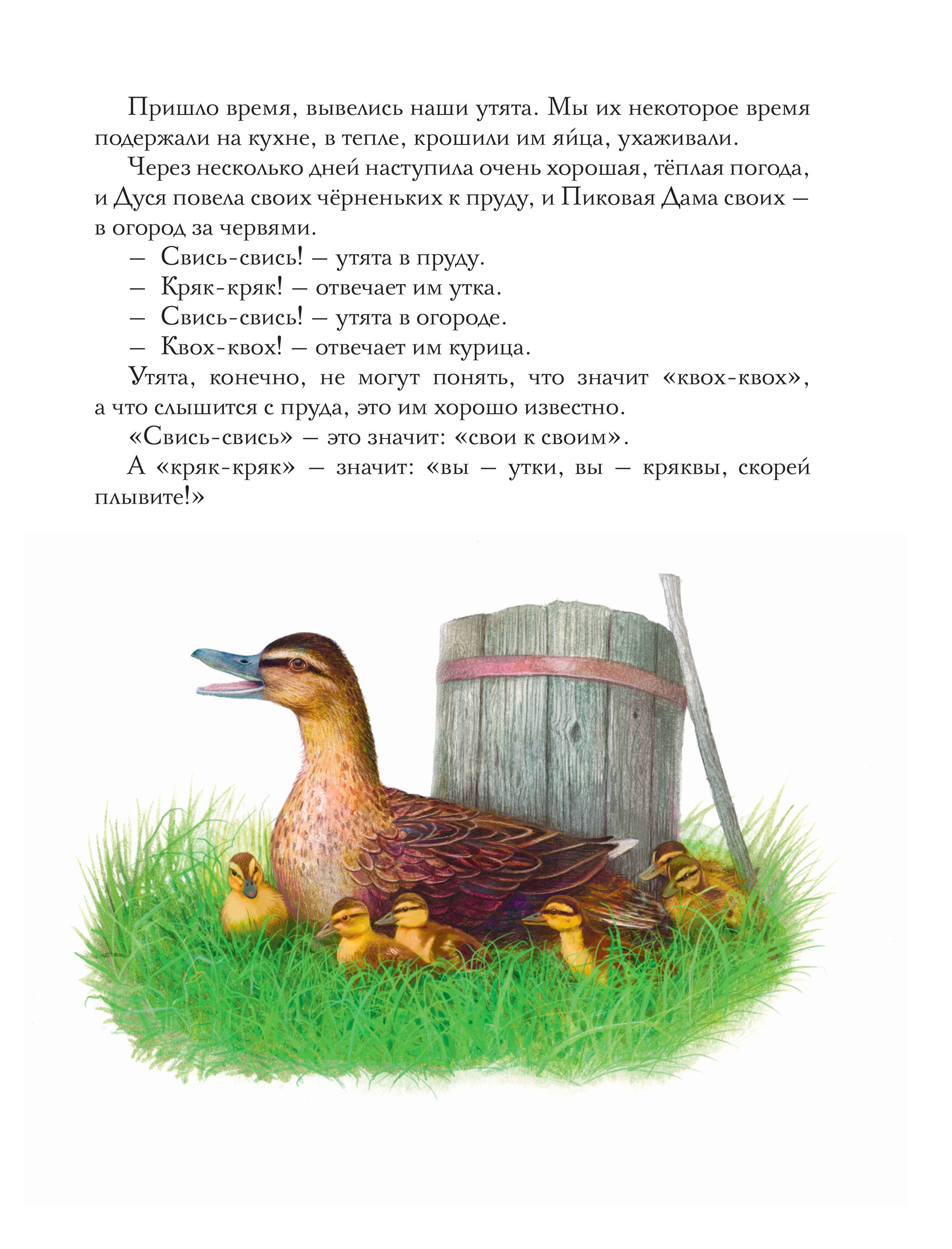 Книга Эксмо Золотой луг. Рассказы о животных (ил. Дударенко) - фото 10