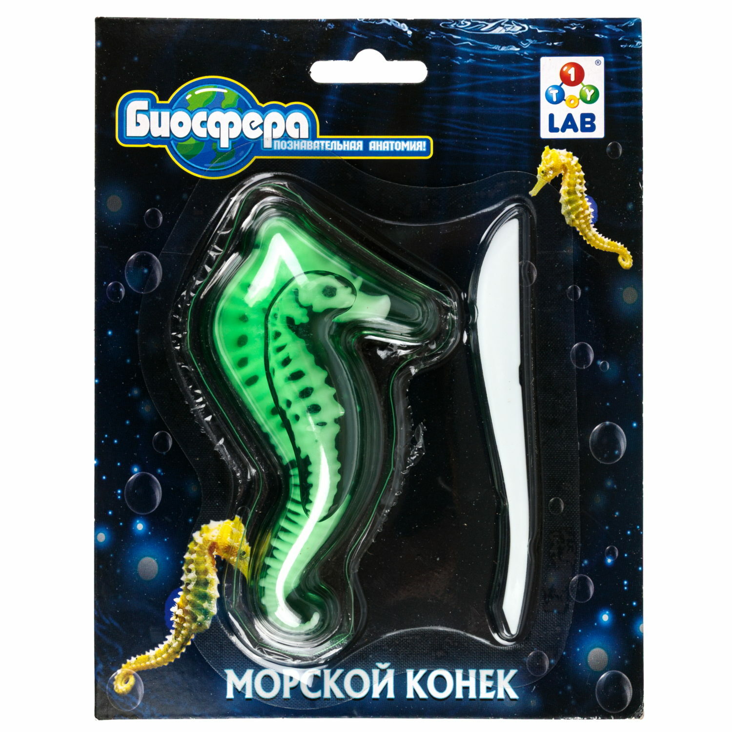 Набор для опытов 1TOY Морской конек - фото 1