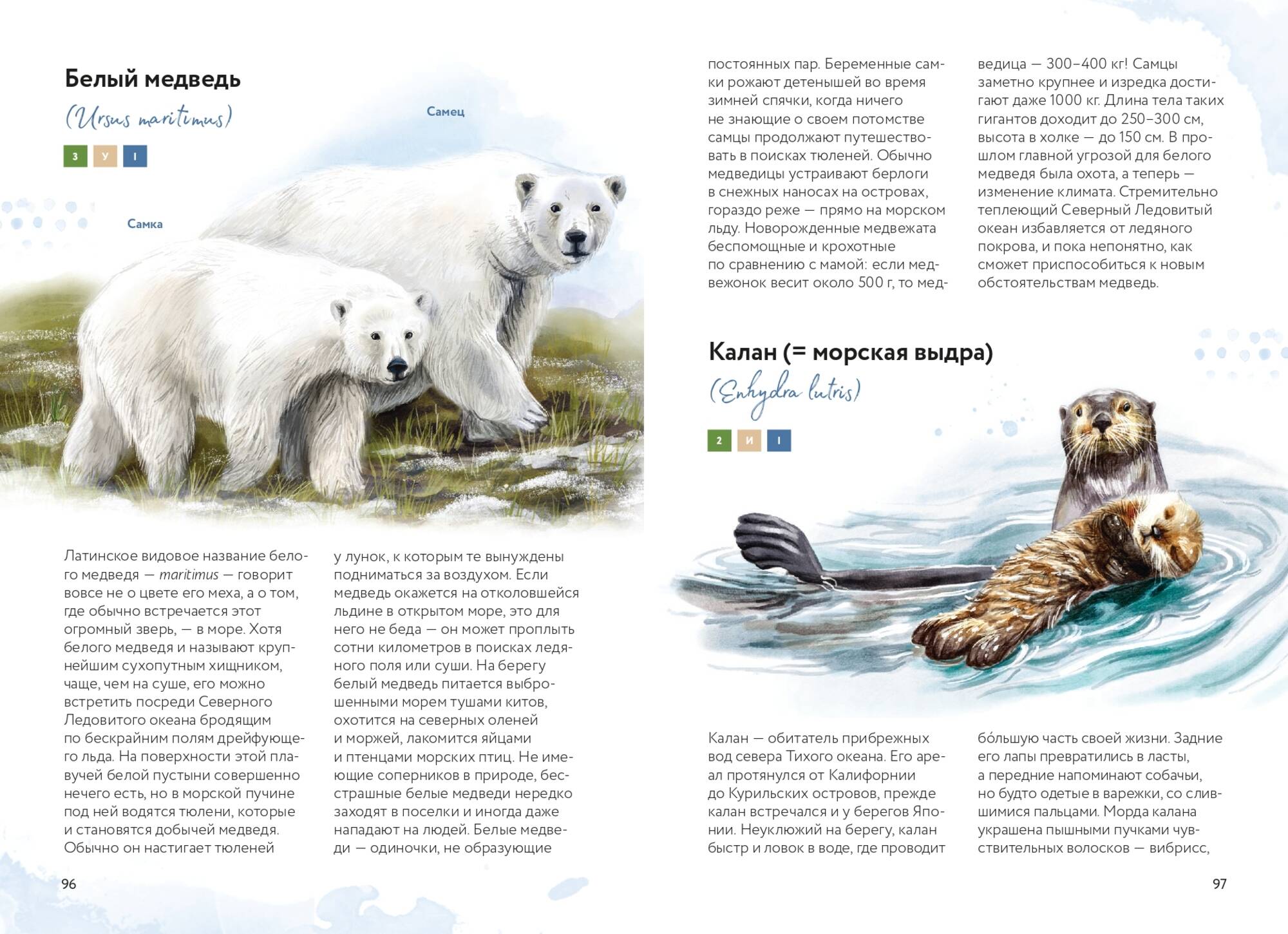 Книга Миф Красная книга России Все основные виды - фото 15
