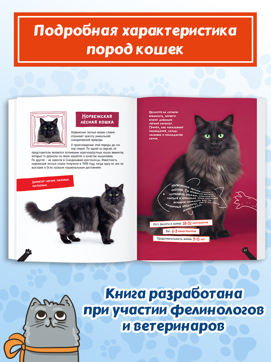 Книга Проф-Пресс детская энциклопедия Кошки Большие секреты маленьких хищников Мягкий переплет - фото 5