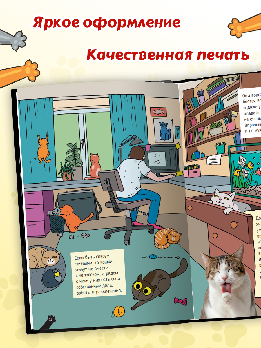Книга Проф-Пресс детская энциклопедия Кошки. Большие секреты маленьких хищников - фото 6