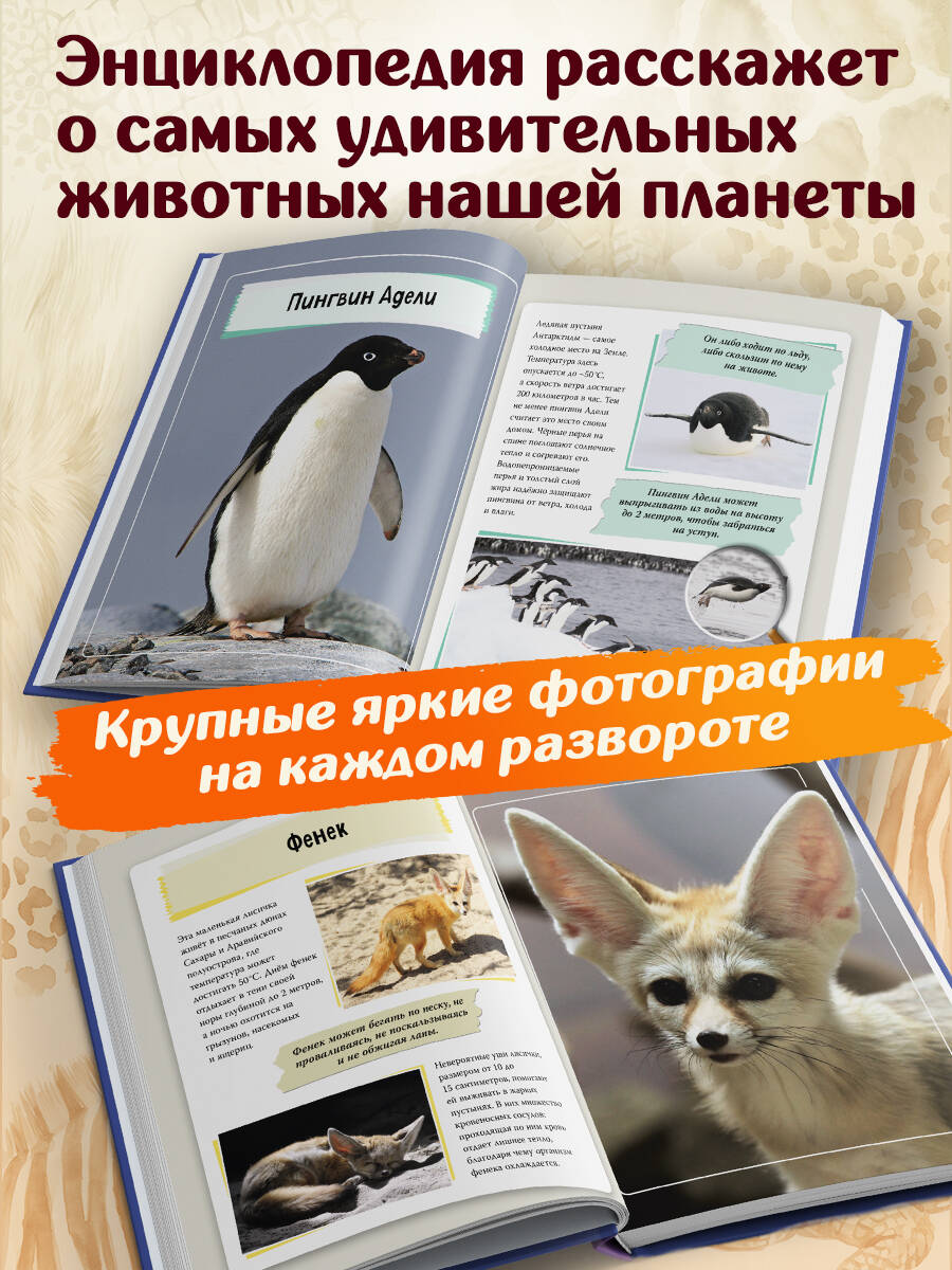Книга Эксмо Удивительные животные нашей планеты - фото 5