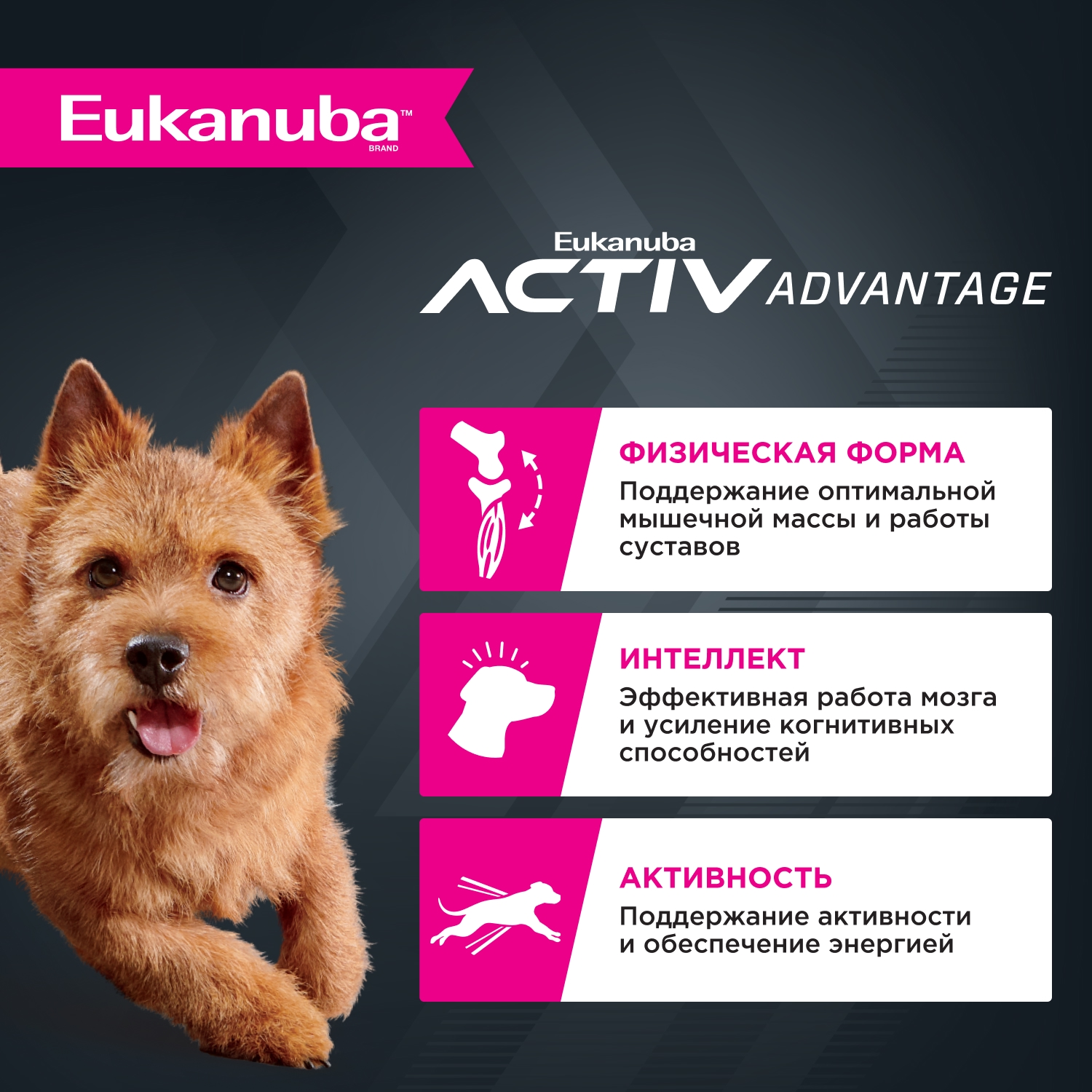 Корм Eukanuba Dog 3кг для взрослых собак мелких пород сухой - фото 2