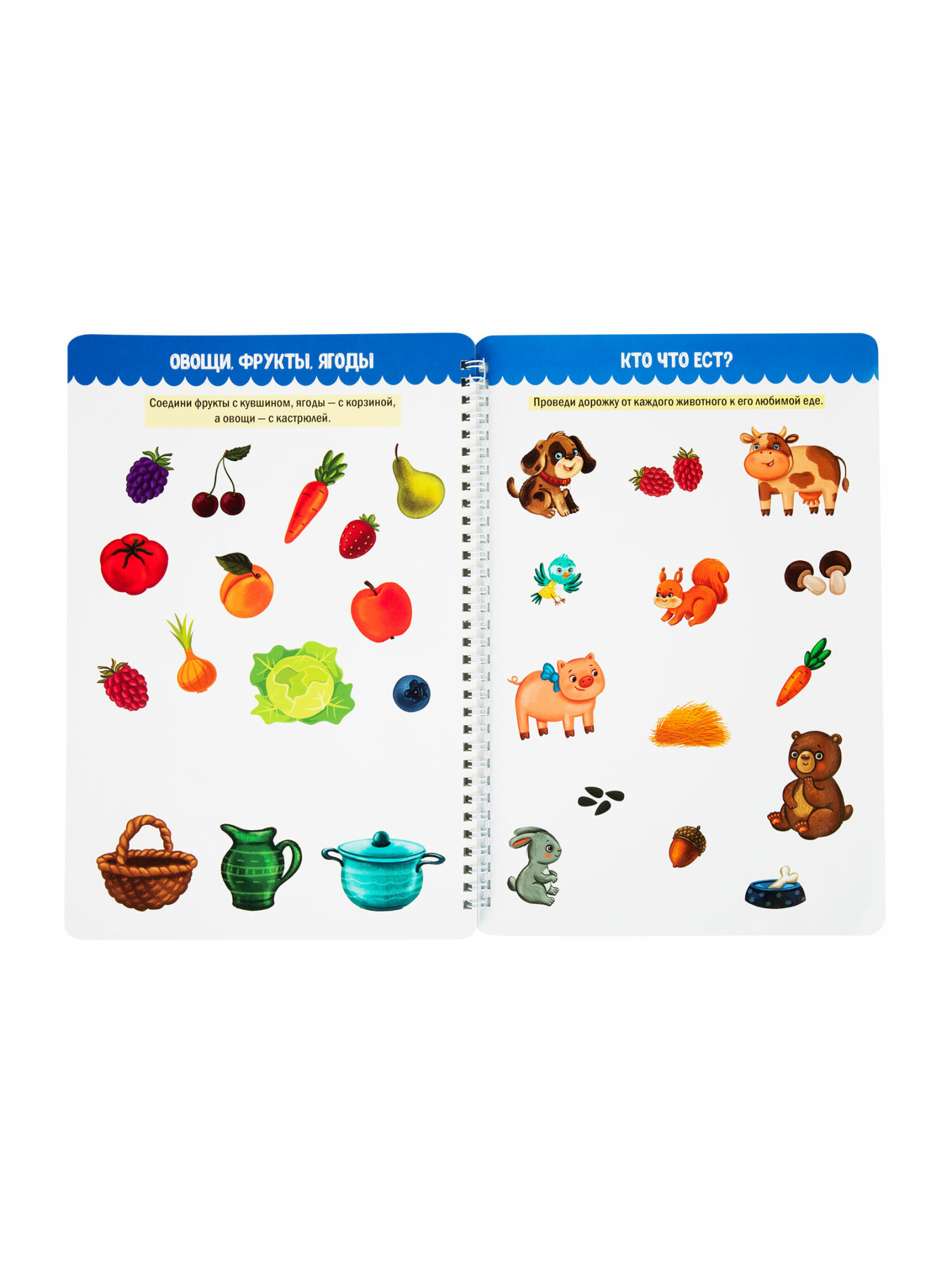 Общая тетрадь Prof-Press клетка - фото 21