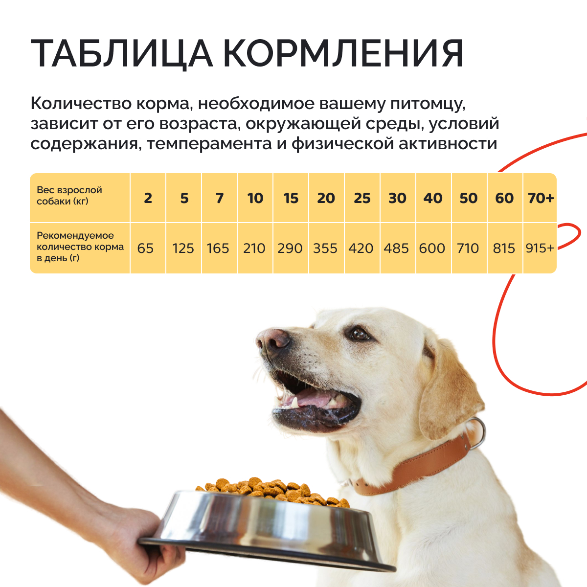 Корм сухой DOGSY с курицей и рисом 3 кг - фото 9