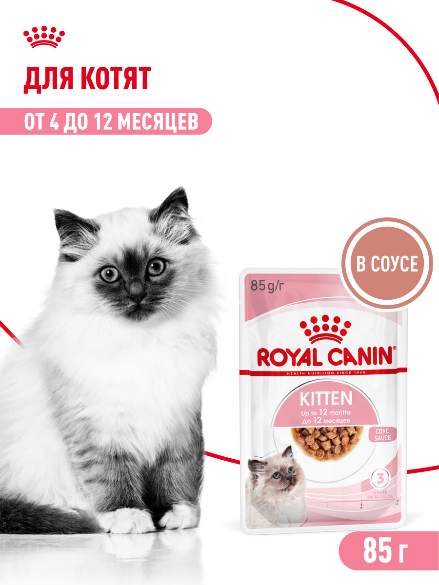 Корм влажный для котят ROYAL CANIN Kitten 85г кусочки в соусе 77851 - фото 1