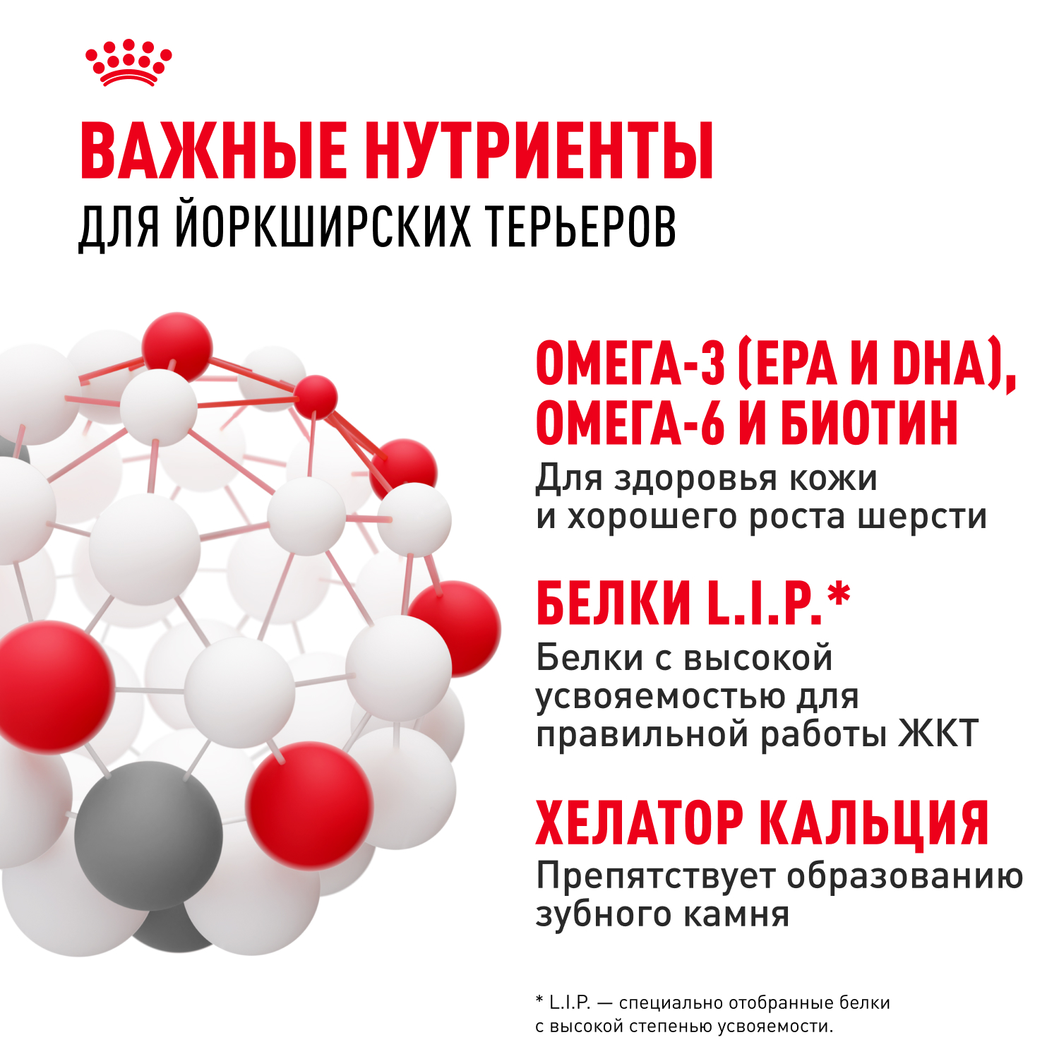 Корм для собак ROYAL CANIN породы йоркширский терьер 1.5кг - фото 6