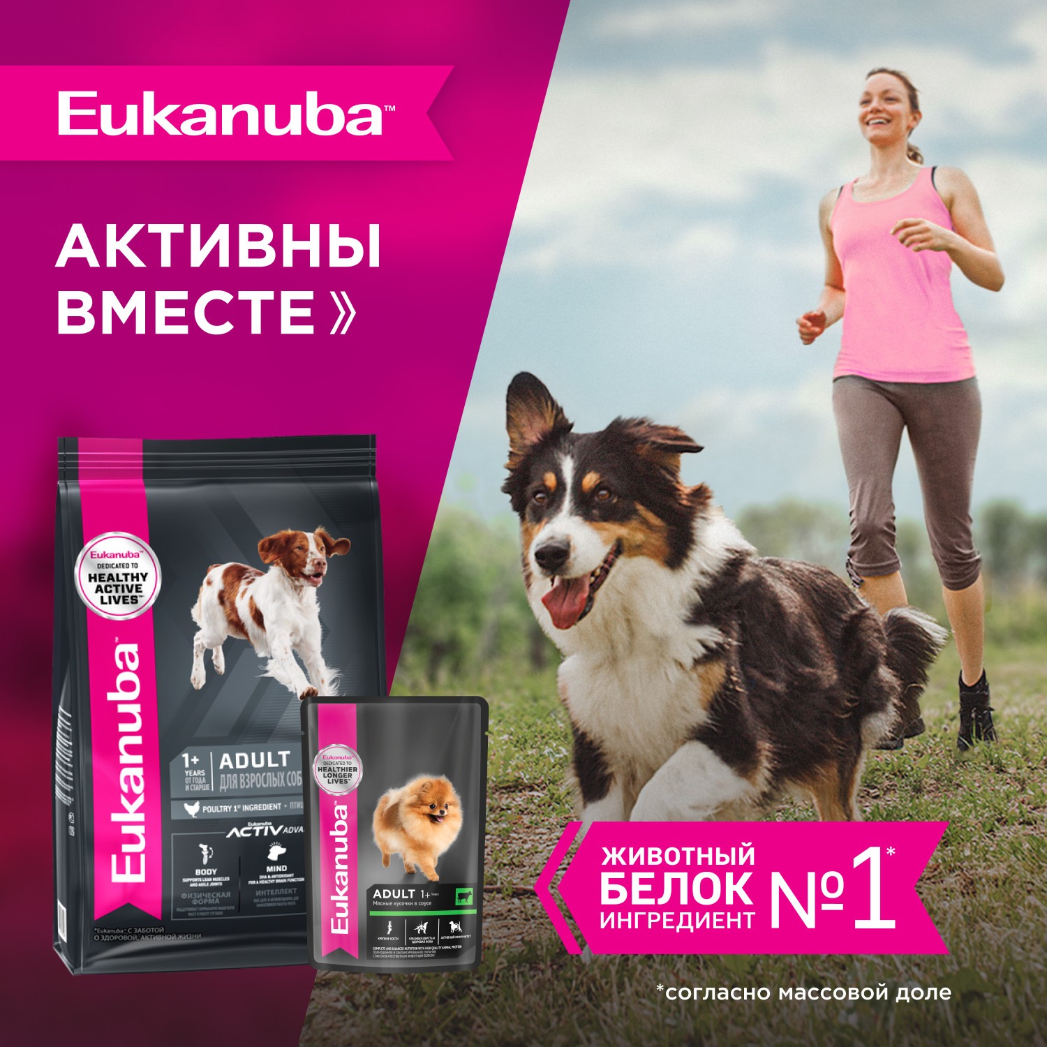 Корм для собак Eukanuba 100г с говядиной в соусе пауч - фото 7