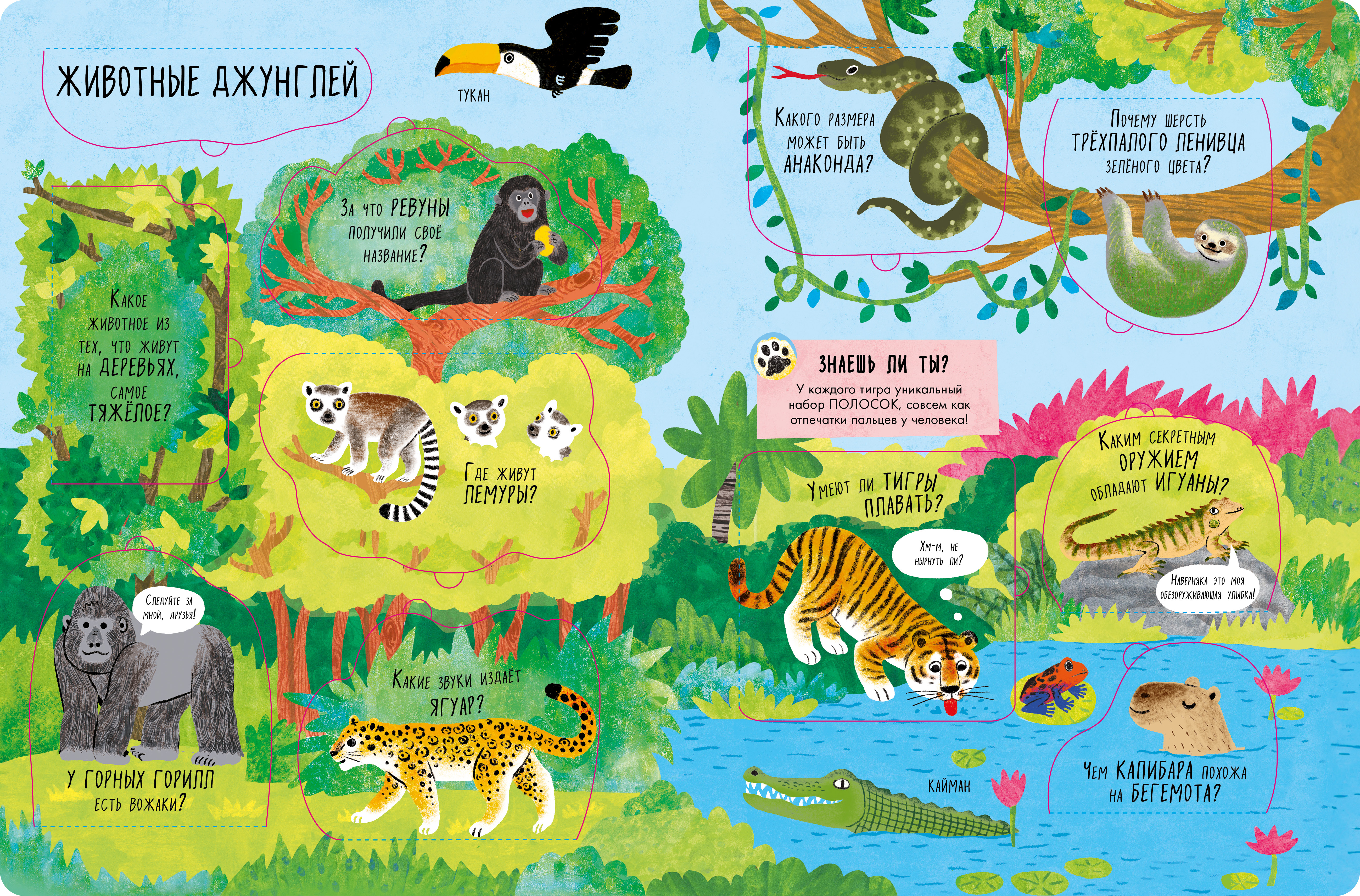 Большая книга Clever с окошками. Животные - фото 6