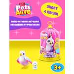 Игровой набор Zuru Pets Alive Волшебная птичка