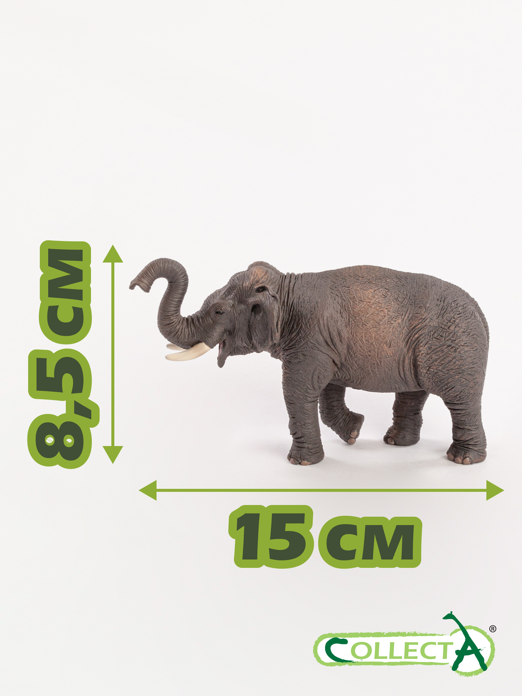 Фигурка Collecta Азиатский слон - фото 2