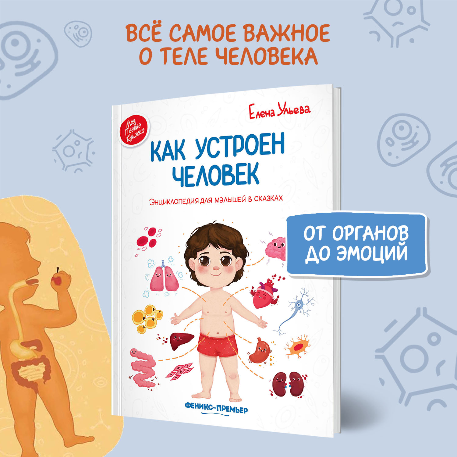 Книга Феникс Премьер Как устроен человек. Энциклопедия для малышей в сказках - фото 3