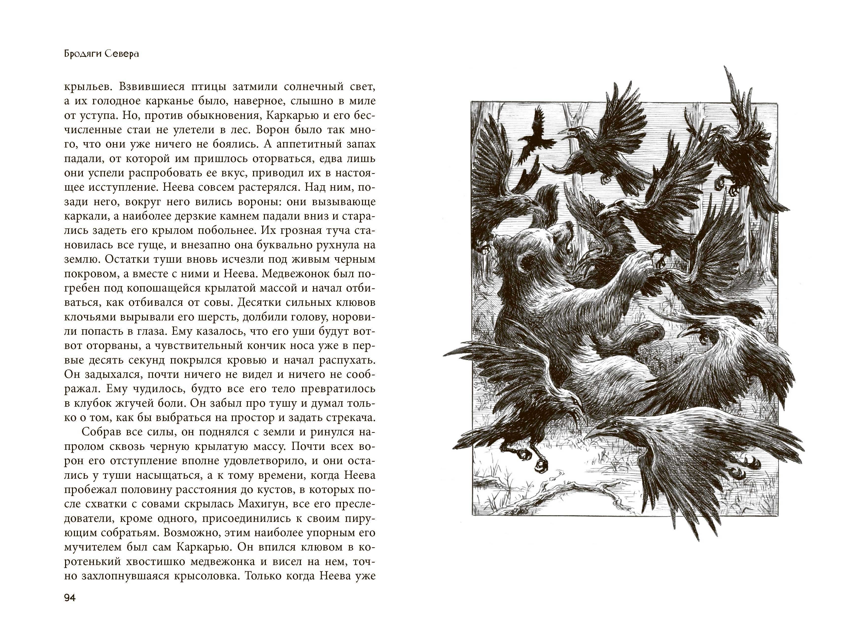 Книга Качели Бродяги Севера - фото 6