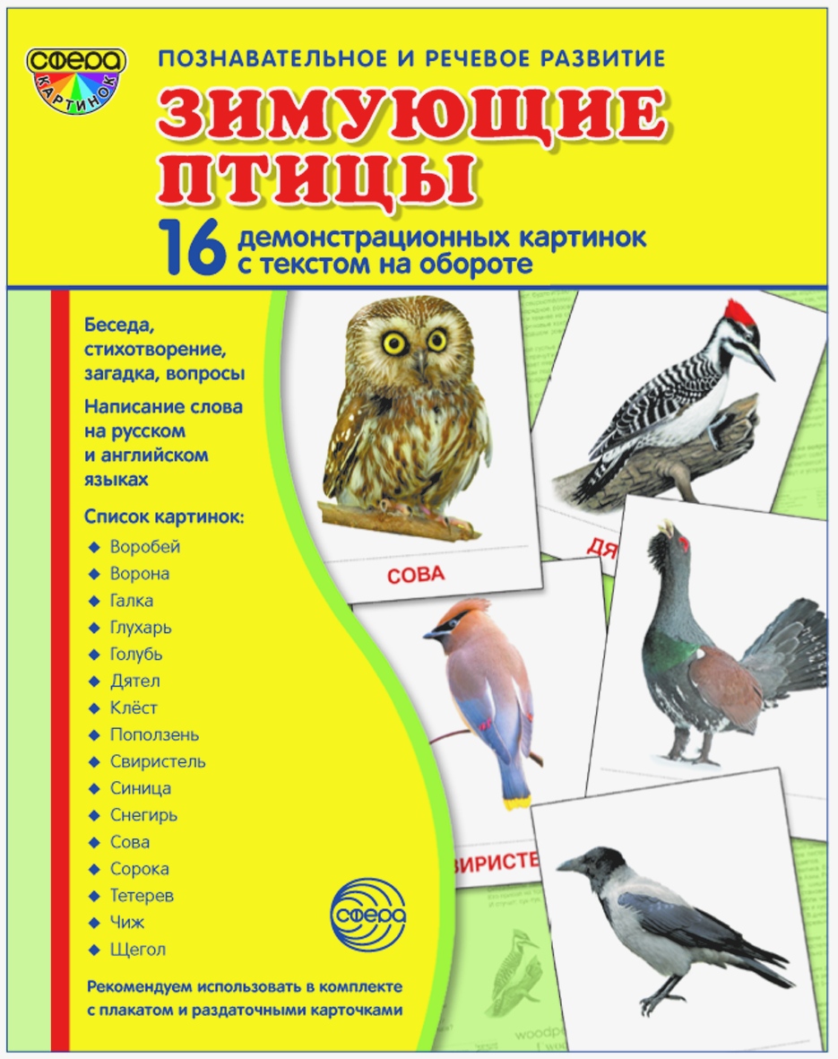 Карточки ТЦ Сфера Зимующие птицы - фото 1