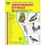 Карточки ТЦ Сфера Зимующие птицы