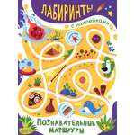 Книга Качели Познавательные маршруты