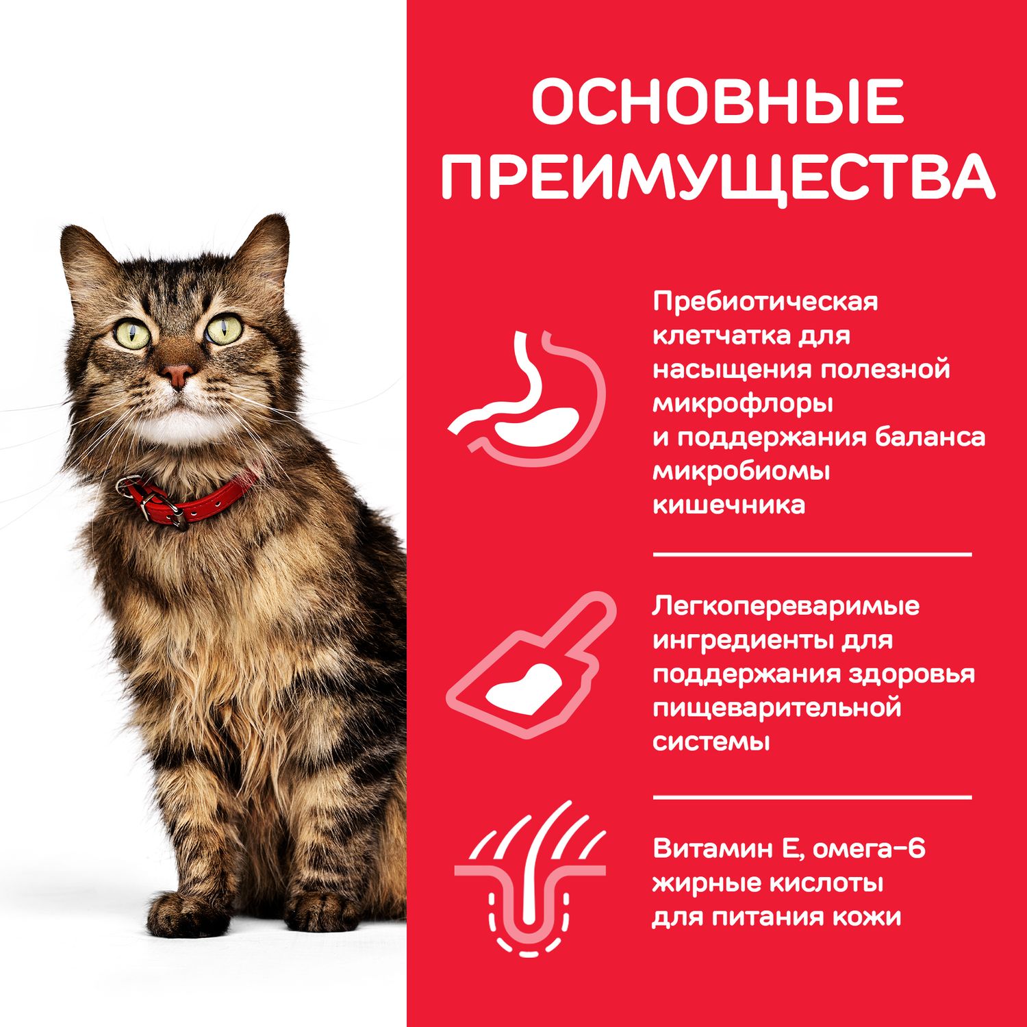Корм сухой HILLS 1,5кг Science Plan Sensitive Stomach/Skin с курицей для кошек с чувствительным пищеварением и кожей - фото 4