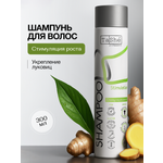 Шампунь Tashe Professional 300 мл