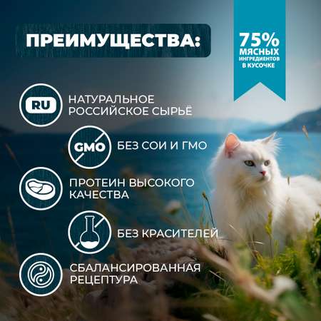 Корм для кошек Родные корма с чувствительным пищеварением По-крымски с ягненком кусочки в соусе 85г