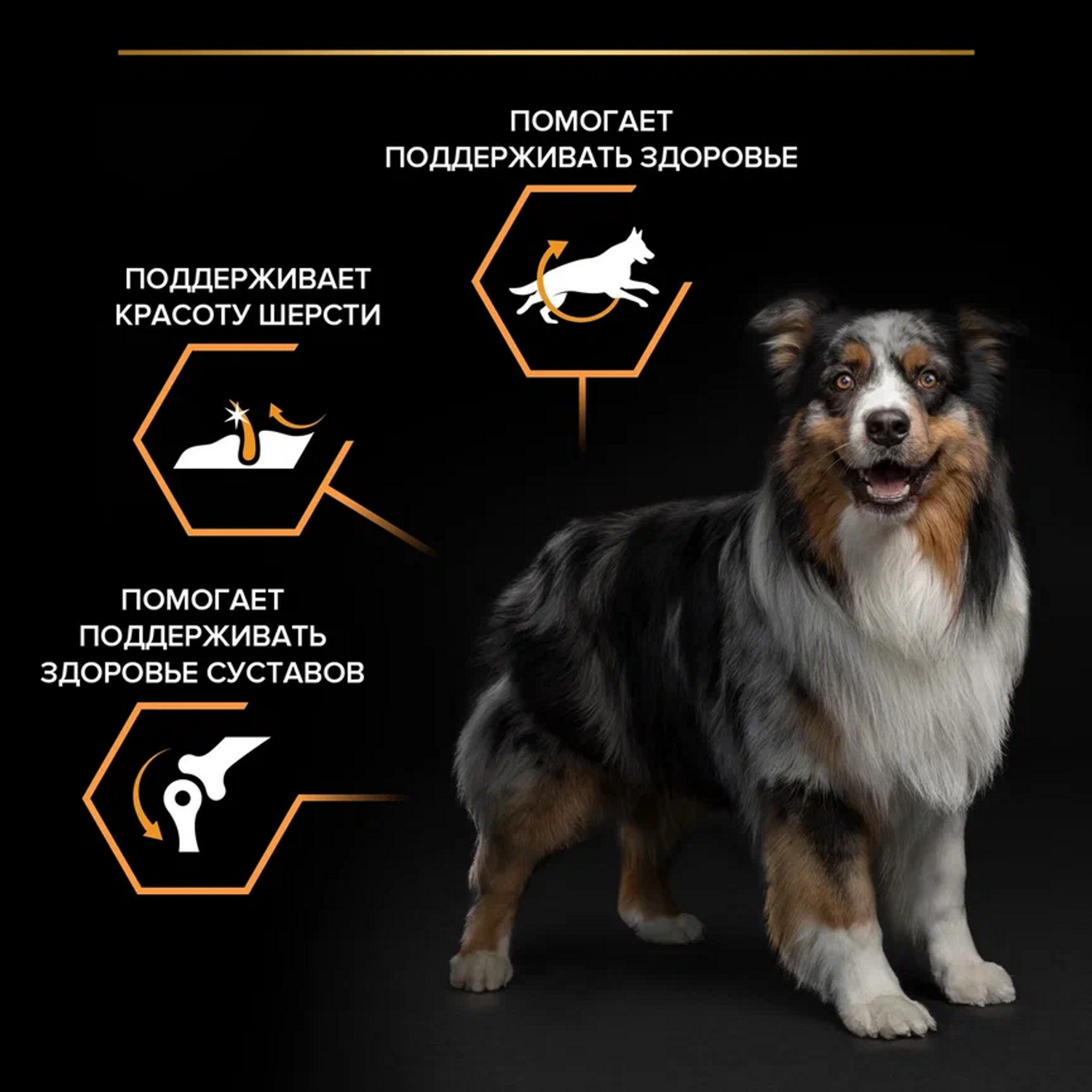 Корм сухой для собак PRO PLAN EVERYDAY NUTRITION 3 кг с курицей для средних пород - фото 4