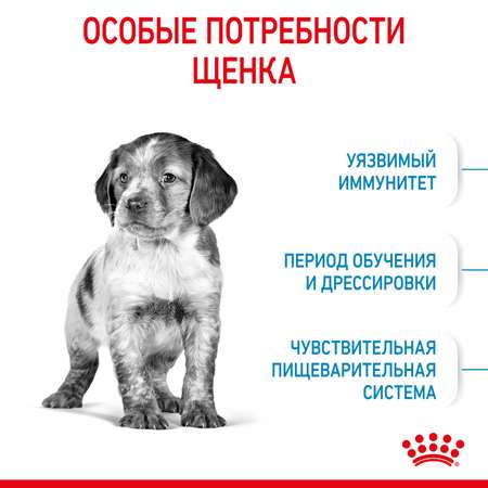 Корм для щенков ROYAL CANIN Medium Puppy средних пород 14кг