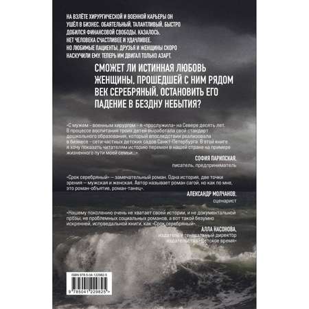 Книга ЭКСМО-ПРЕСС Срок Серебряный