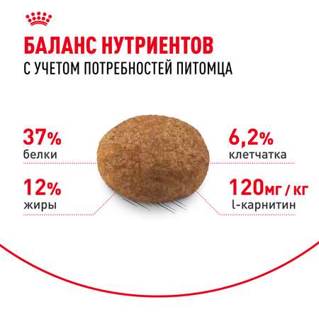 Корм ROYAL CANIN Sterilised 37 сухой 0.2кг для стерилизованных кошек