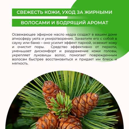 Масло Siberina