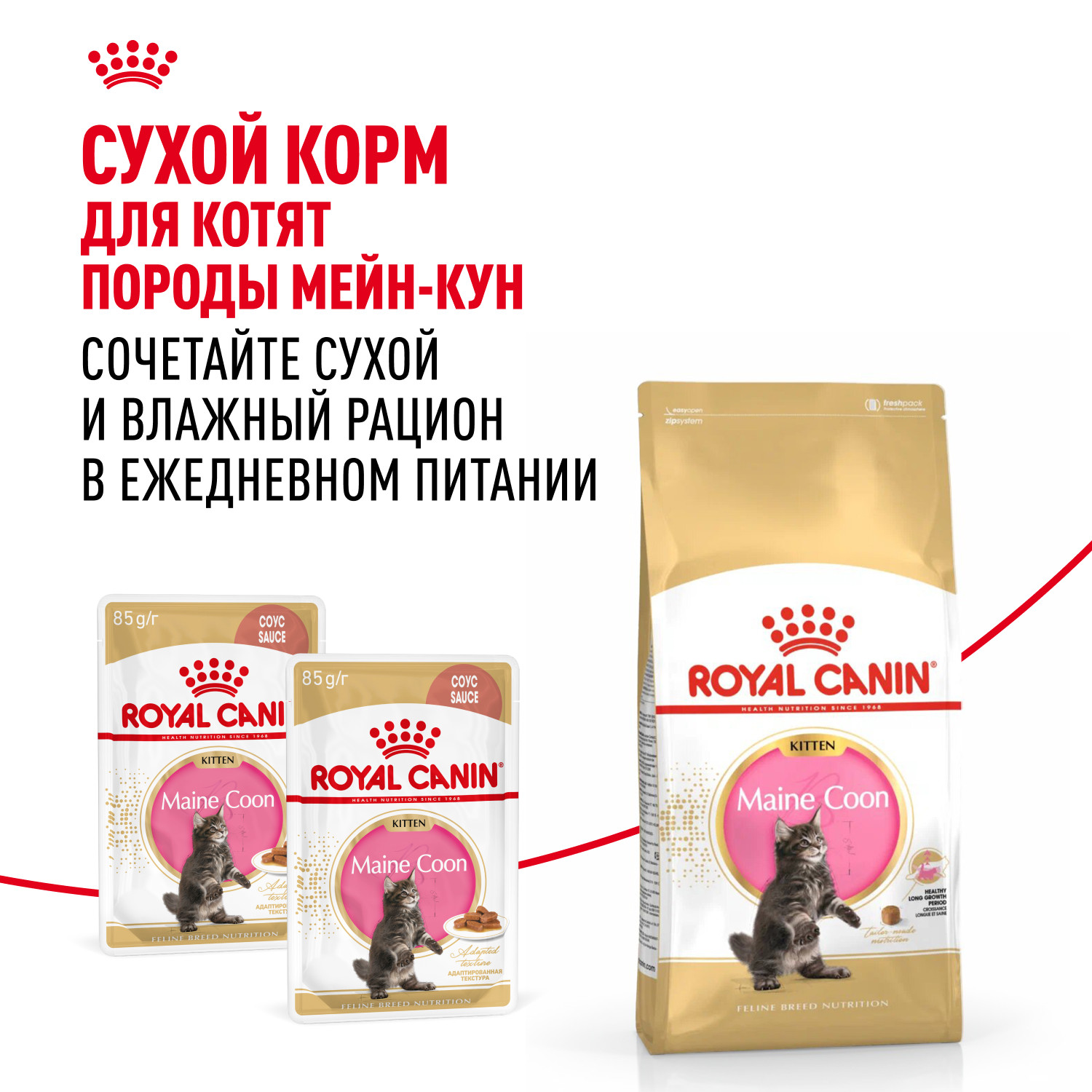 Корм для котят Royal Canin 400г Maine Coon породы мейн-кун - фото 8