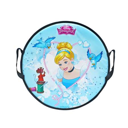 Ледянка 1TOY 52 см Принцессы