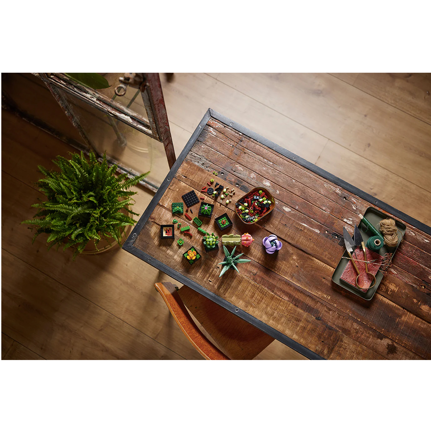 Конструктор LEGO Botanicals Кактусы 771 дет. - фото 12