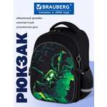 Рюкзак Brauberg зловещий паук