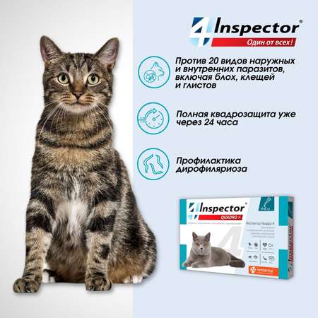 Капли для кошек Inspector Quadro 4-8кг от наружных и внутренних паразитов 0.8мл