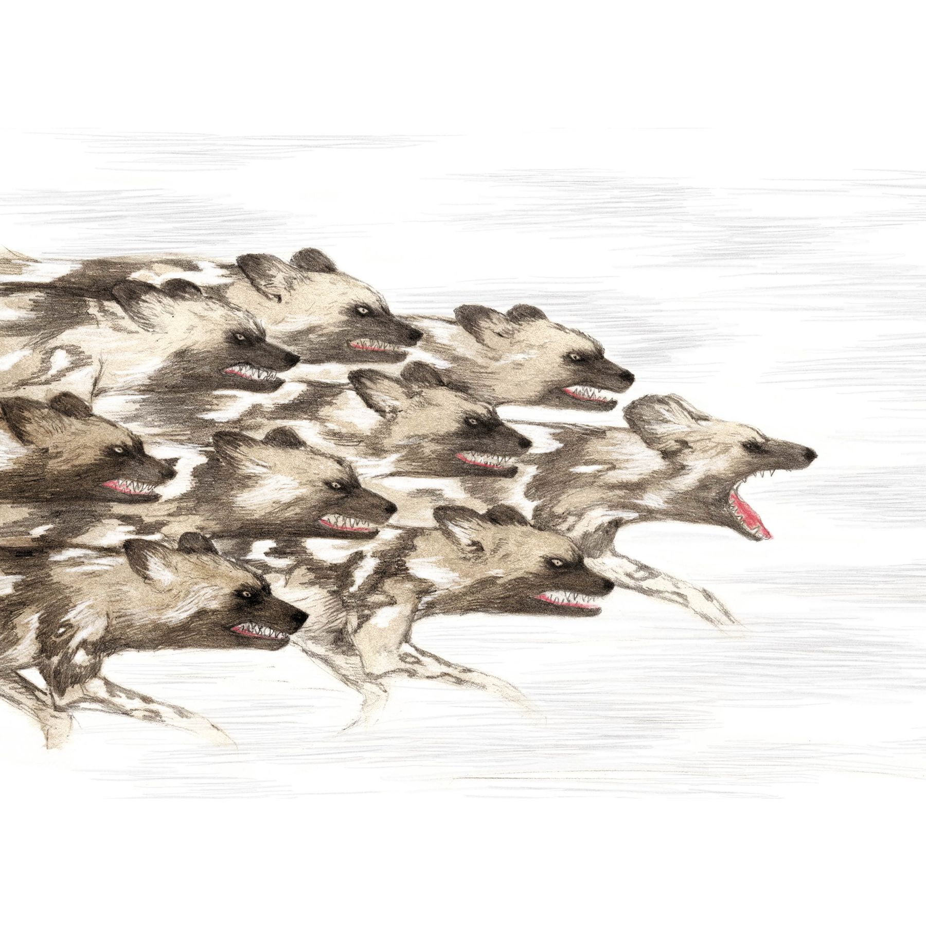 Книга Махаон Хён Ли. Незваные гости. - фото 15