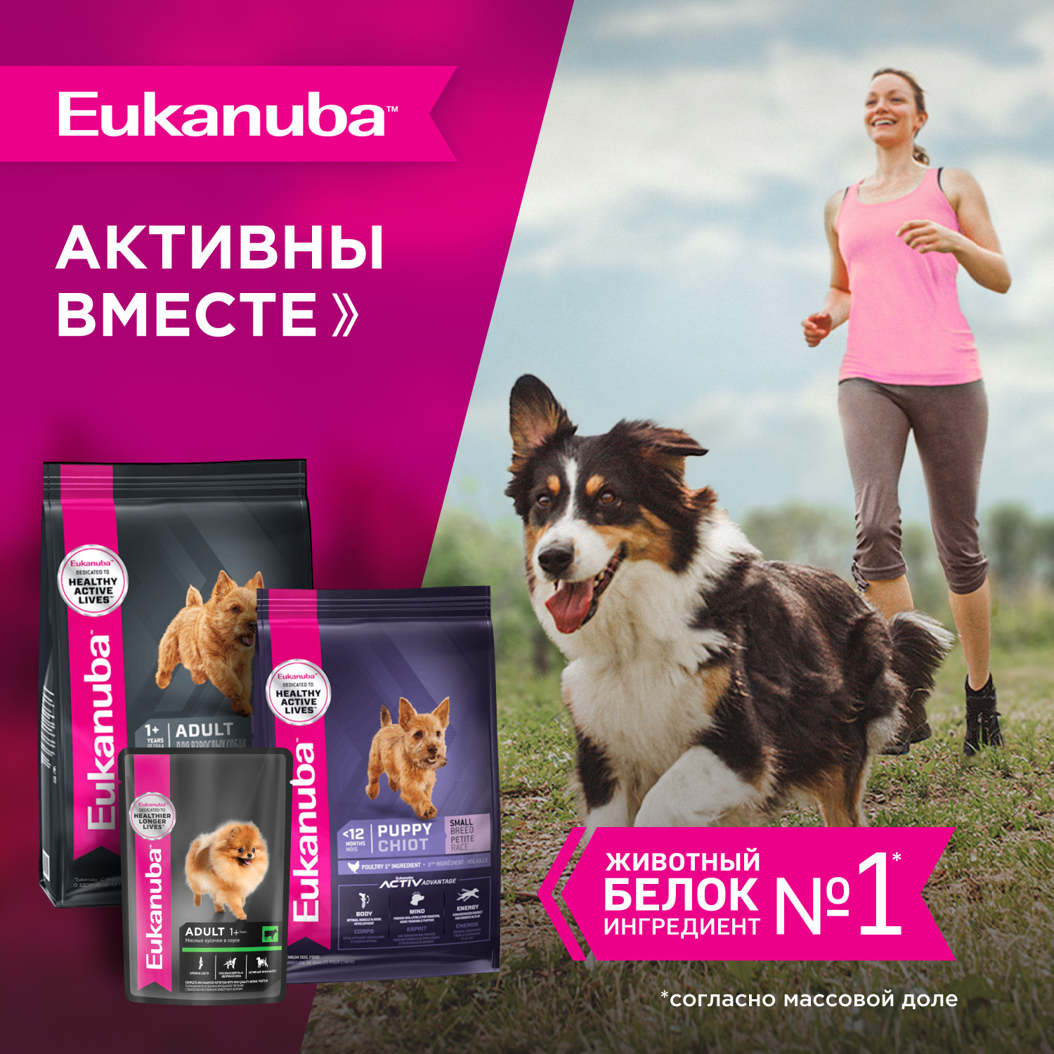 Корм Eukanuba Dog 3кг для взрослых собак мелких пород сухой - фото 7