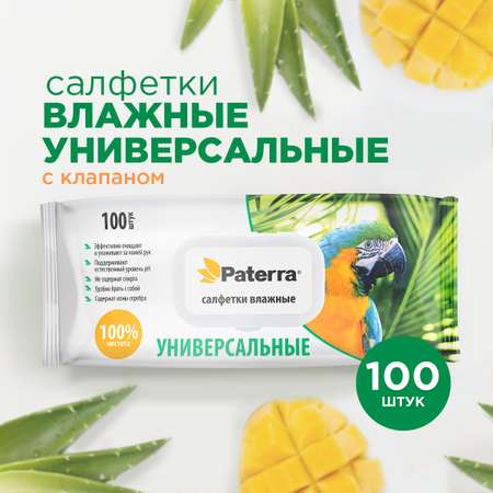 Влажные салфетки Paterra антибактериальные