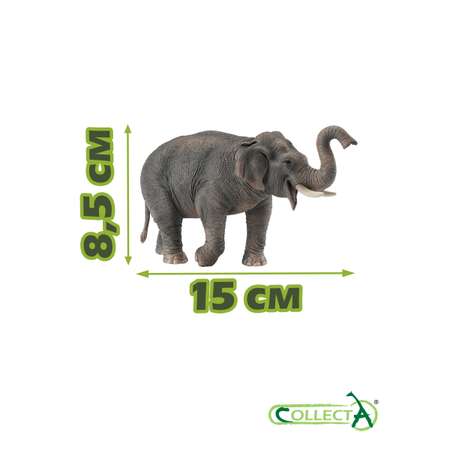 Фигурка Collecta Азиатский слон
