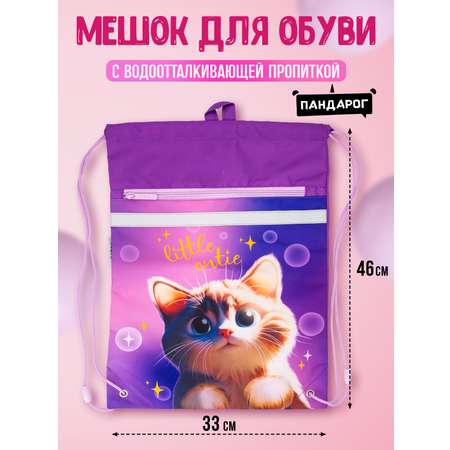 Мешок для обуви ПАНДАРОГ
