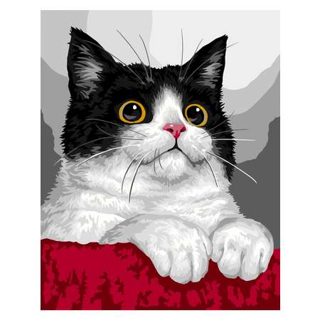 Картина по номерам Art sensation Котик в ассортименте